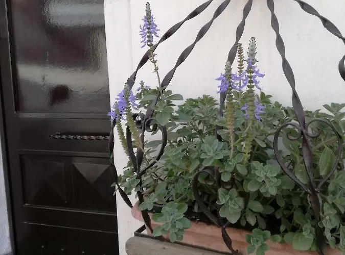 阿尔特沃尔特旅馆 招待所 4*